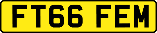 FT66FEM