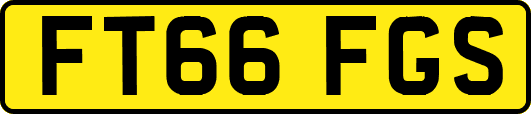 FT66FGS