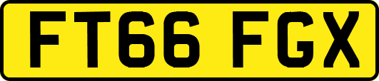 FT66FGX