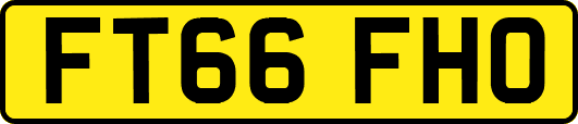 FT66FHO