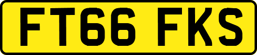 FT66FKS