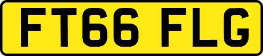 FT66FLG