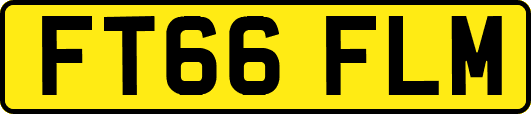 FT66FLM