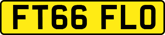 FT66FLO