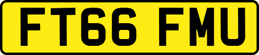 FT66FMU