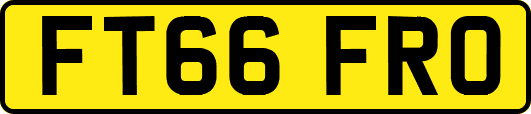 FT66FRO