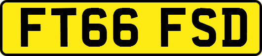 FT66FSD
