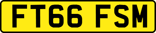 FT66FSM