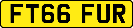FT66FUR