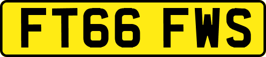 FT66FWS