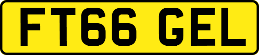 FT66GEL