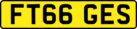 FT66GES
