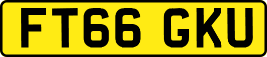 FT66GKU