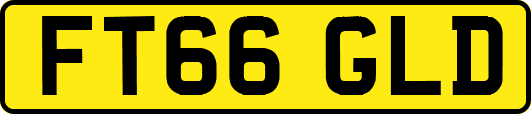 FT66GLD