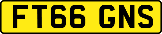 FT66GNS