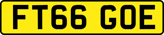 FT66GOE