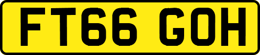 FT66GOH