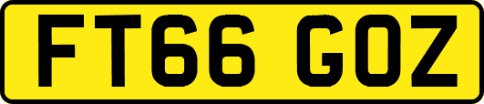 FT66GOZ