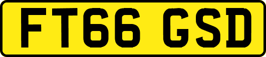 FT66GSD