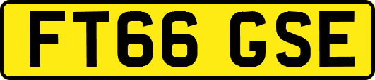 FT66GSE