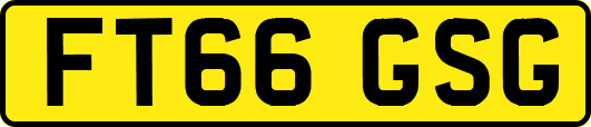 FT66GSG