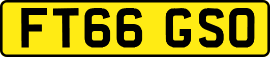 FT66GSO