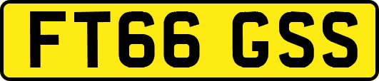 FT66GSS