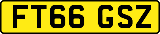 FT66GSZ