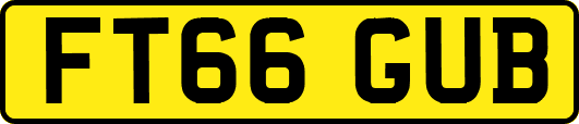 FT66GUB