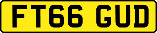FT66GUD