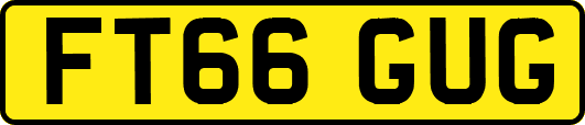FT66GUG