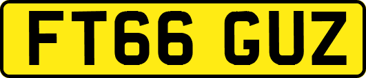 FT66GUZ