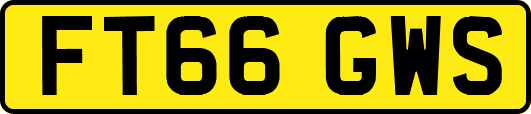 FT66GWS