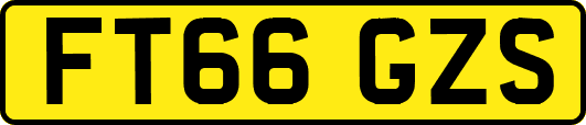 FT66GZS