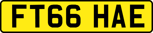 FT66HAE