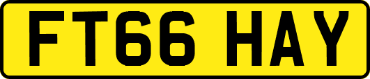 FT66HAY