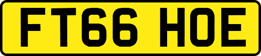 FT66HOE
