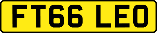 FT66LEO