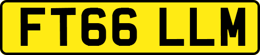 FT66LLM