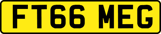 FT66MEG