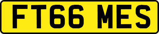 FT66MES