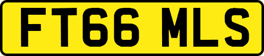 FT66MLS