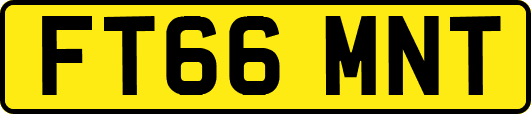 FT66MNT