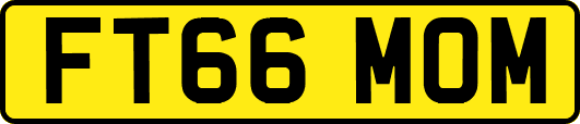 FT66MOM