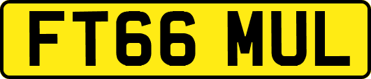 FT66MUL
