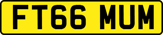 FT66MUM