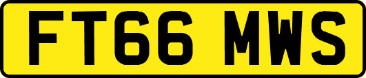 FT66MWS