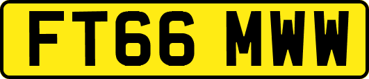 FT66MWW