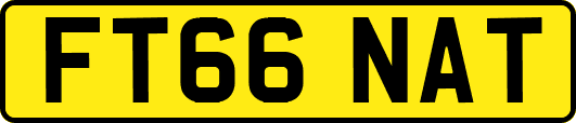 FT66NAT