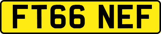 FT66NEF